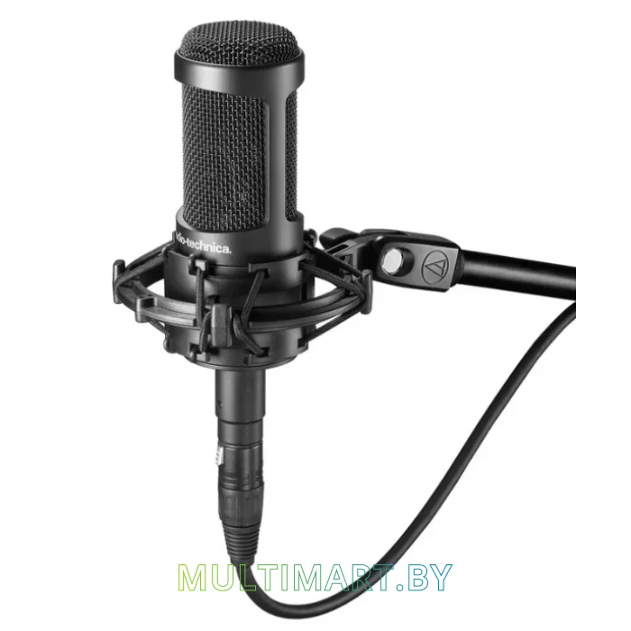 Микрофон Audio-Technica AT2050